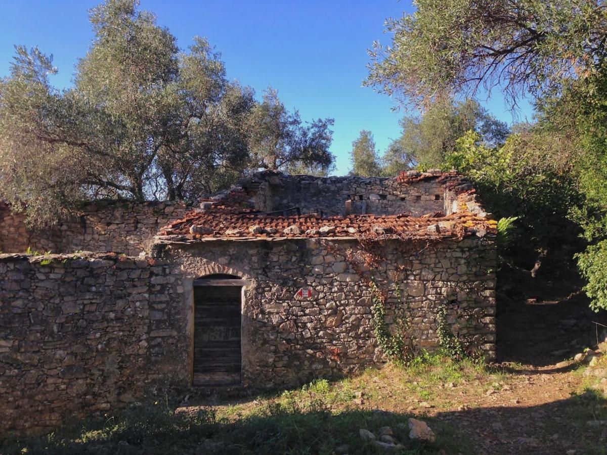 Apartamento La Gora, Tra Mare E Sentieri Lerici Exterior foto